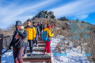 Deogyusan,korea - January 1: Tourists Taking Photos Of The Beautiful Scenery And Skiing Around Deogyusan,south Korea On January 1, 2016 Stock Photo