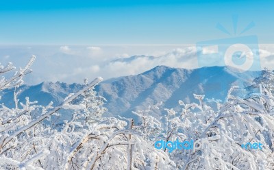 Deogyusan,korea - January 23: Skiers And Tourists In Deogyusan Ski Resort On Deogyusan Mountains,south Korea On January 23, 2015 Stock Photo