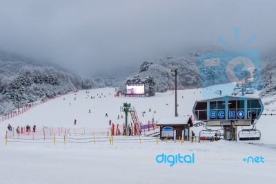 Deogyusan,korea - January 23: Skiers And Tourists In Deogyusan Ski Resort On Deogyusan Mountains,south Korea On January 23, 2015 Stock Photo