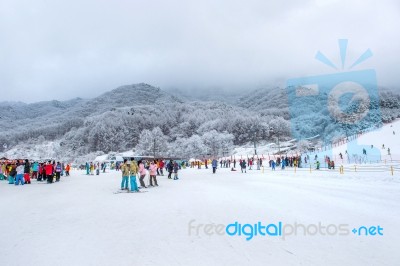 Deogyusan,korea - January 23: Skiers And Tourists In Deogyusan Ski Resort On Deogyusan Mountains,south Korea On January 23, 2015 Stock Photo