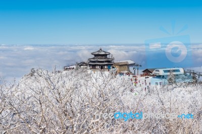 Deogyusan,korea - January 23: Tourists Taking Photos Of The Beautiful Scenery And Skiing Around Deogyusan,south Korea On January 23, 2015 Stock Photo