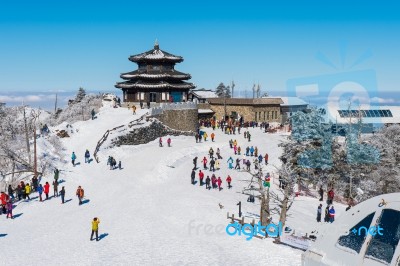 Deogyusan,korea - January 23: Tourists Taking Photos Of The Beautiful Scenery Around Deogyusan,south Korea On January 23, 2015 Stock Photo