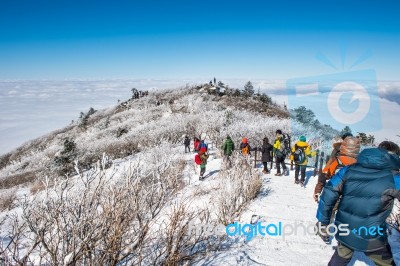 Deogyusan,korea - January 23: Tourists Taking Photos Of The Beautiful Scenery Around Deogyusan,south Korea On January 23, 2015 Stock Photo