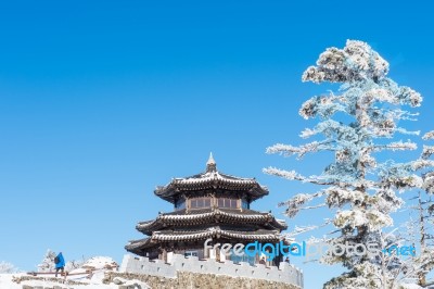 Deogyusan,korea - January 23: Tourists Taking Photos Of The Beautiful Scenery Around Deogyusan,south Korea On January 23, 2015 Stock Photo