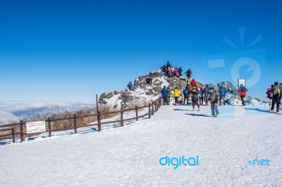 Deogyusan,korea - January 23: Tourists Taking Photos Of The Beautiful Scenery Around Deogyusan,south Korea On January 23, 2015 Stock Photo