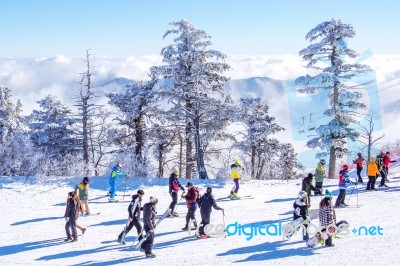 Deogyusan,korea - January 23: Tourists Taking Photos Of The Beautiful Scenery Around Deogyusan,south Korea On January 23, 2015 Stock Photo