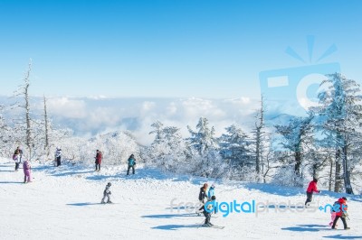 Deogyusan,korea - January 23: Tourists Taking Photos Of The Beautiful Scenery Around Deogyusan,south Korea On January 23, 2015 Stock Photo