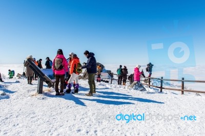 Deogyusan,korea - January 23: Tourists Taking Photos Of The Beautiful Scenery Around Deogyusan,south Korea On January 23, 2015 Stock Photo