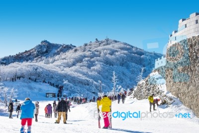 Deogyusan,korea - January 23: Tourists Taking Photos Of The Beautiful Scenery Around Deogyusan,south Korea On January 23, 2015 Stock Photo