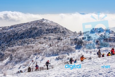 Deogyusan,korea - January 23: Tourists Taking Photos Of The Beautiful Scenery Around Deogyusan,south Korea On January 23, 2015 Stock Photo