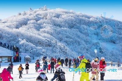 Deogyusan,korea - January 23: Tourists Taking Photos Of The Beautiful Scenery Around Deogyusan,south Korea On January 23, 2015 Stock Photo