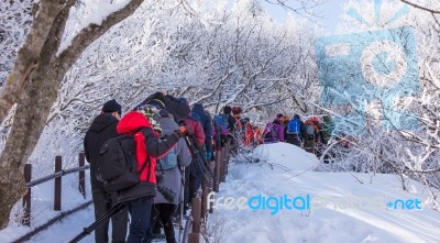 Deogyusan,korea - January 23: Tourists Taking Photos Of The Beautiful Scenery Around Deogyusan,south Korea On January 23, 2015 Stock Photo