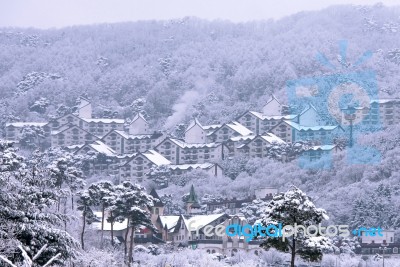 Deogyusan,korea - January 23: View Of Deogyusan Resort In Winter,south Korea On January 23, 2015 Stock Photo