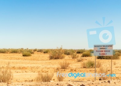 Desert Landscape In Southern Namibia Stock Photo