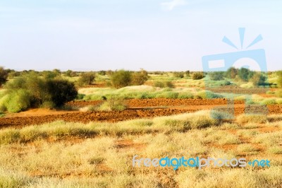 Desert Landscape In Sudan Stock Photo