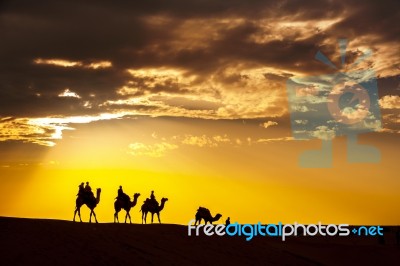 Desert Local Walks With Camel Through Thar Desert Stock Photo