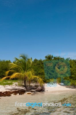 Deserted Beach Stock Photo