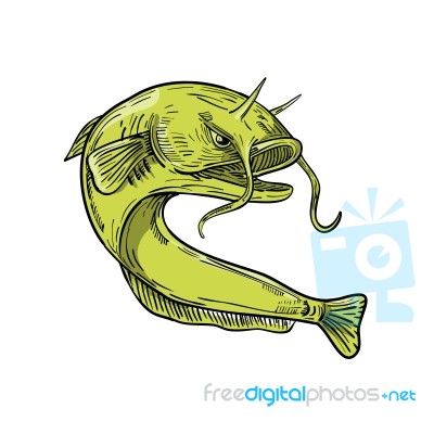 Devil Catfish Jumping Drawing Stock Image