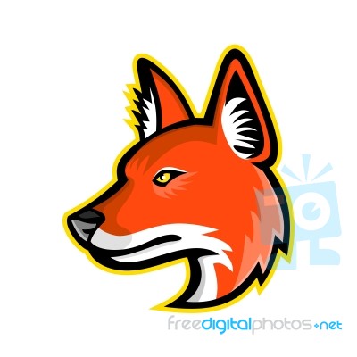 Dhole Or Asiatic Wild Dog Mascot Stock Image