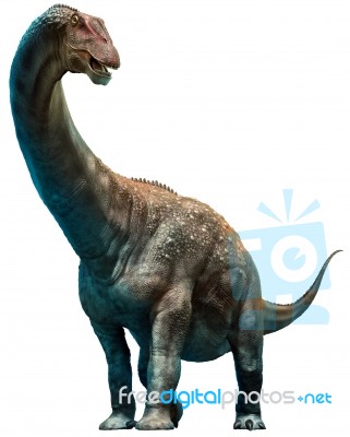 Diamantinasaurus Stock Image