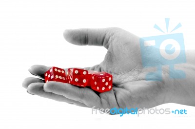 Dice In The Hand Stock Photo