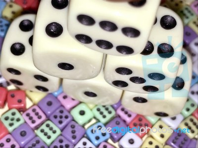 Dices Stock Photo