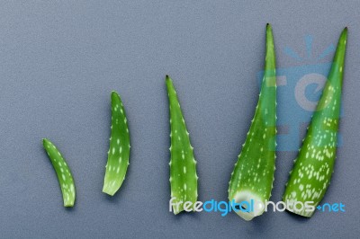 Different Size Of Aloe Vera Leaves On Gray Background. Skin Care… Stock Photo