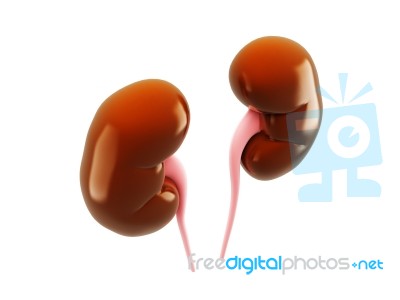 Digital Illustration Of Kidney In Colour Background Stock Image