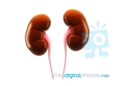 Digital Illustration Of Kidney In Colour Background Stock Image