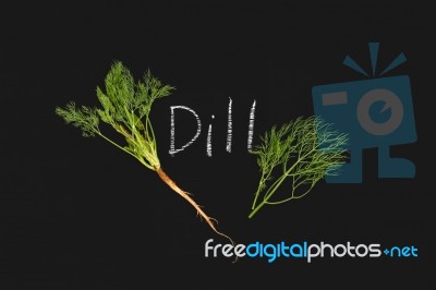 Dill Vegetable Ingredient Nature Fresh Organic Green Blackboard Stock Photo