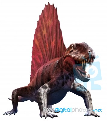 Dimetrodon Stock Image