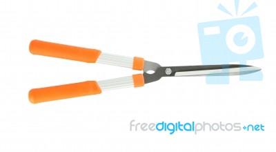 Direct Closed Grass Shear On White Background Stock Photo