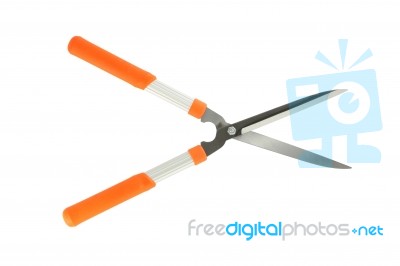 Direct Opened Grass Shear On White Background Stock Photo