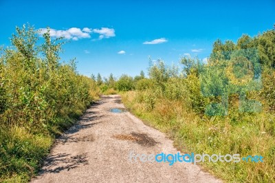 Dirt Road In The Woods Stock Photo