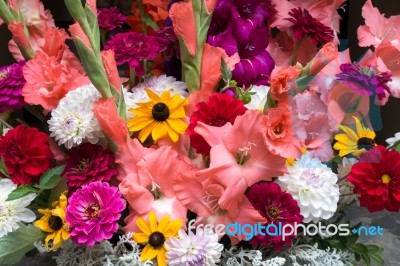 Display Of Colourful Cut Flowers Stock Photo