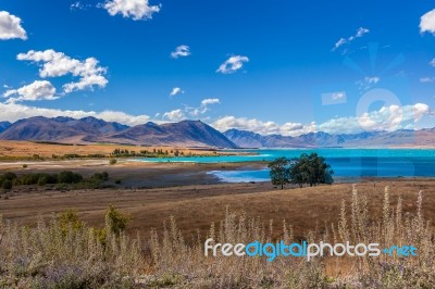 Distant View Of Lake Tekapo On A Summer's Day Stock Photo