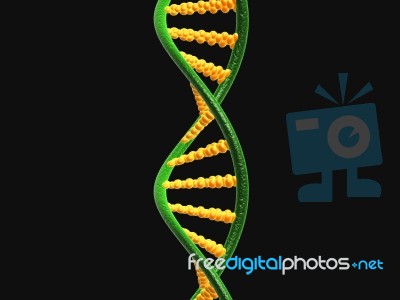 Dna Stock Image