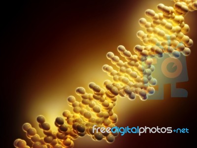 Dna Stock Image