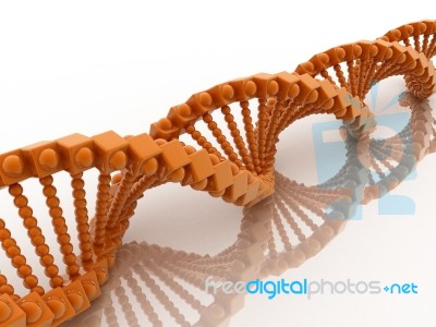 Dna Stock Image