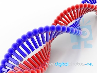 DNA Stock Image