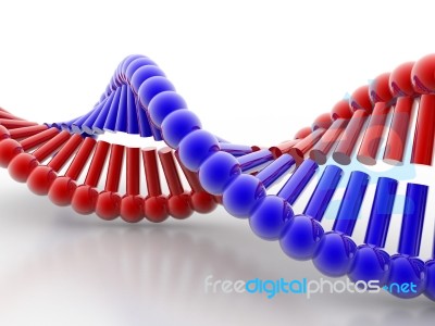 DNA Stock Image