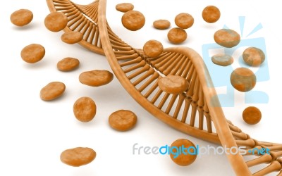 Dna Stock Image