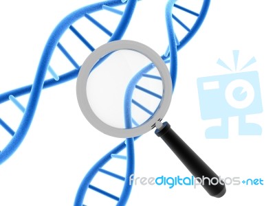 Dna Examined Under A Magnifying Glass Stock Image