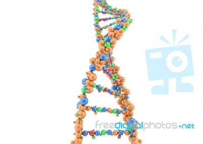 Dna Model Stock Image