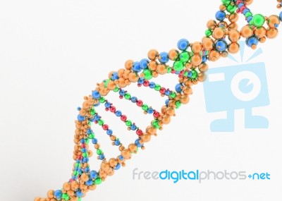 Dna Model Stock Image