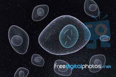 DNA Nucleus Organic Cells Stock Image