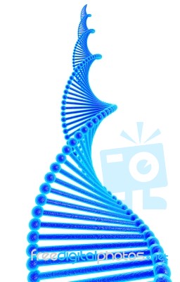 Dna Structure Stock Image