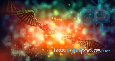 Dna Structure Stock Image