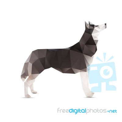 Dog Abstract Stock Image