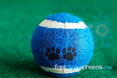 Dog Ball On Lawn Stock Photo